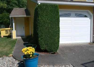 Professional Front Yard Landscaping